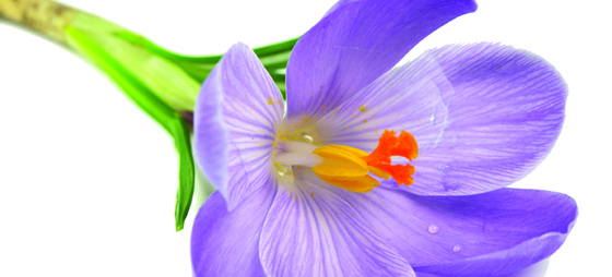 084c1fccdc1b1dc6d813a830c41a5826