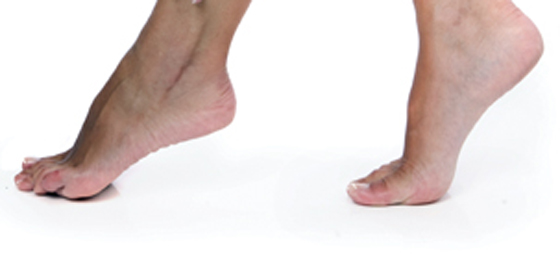 095acdb3290d244c9b70a28c3598e967