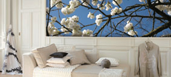 12db17a2257e78817c8f5635d70626a9