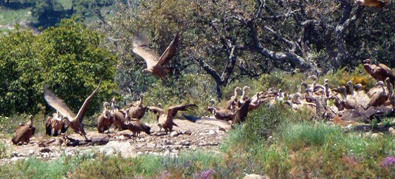 1c79181bfc335c790153e987d25108d4