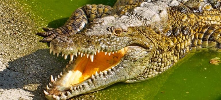 1cbee73415f13fc24ec0b5904a56e092