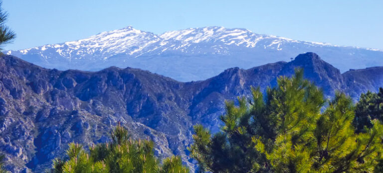 1f500e92770e7dcd0f4196f9d6fe3afb