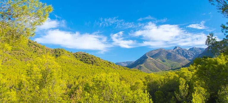 1fc5bd0b25519ee4dbc1cd609ee76f67