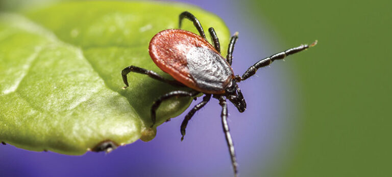 2d0ab3612ebc7eaa380d70d882396ab2