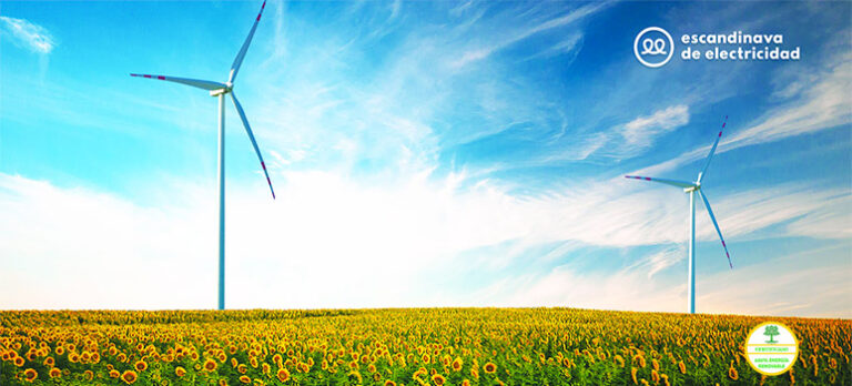 32ba992c1312279642c08aff40eedc8b