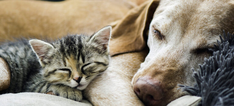 352d58fa3063fbb0b3c74e5631380233