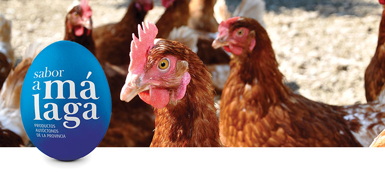 sabor a malaga