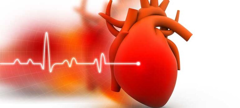 3a8fd30f27dfdc1cbdd39353e63a49ea