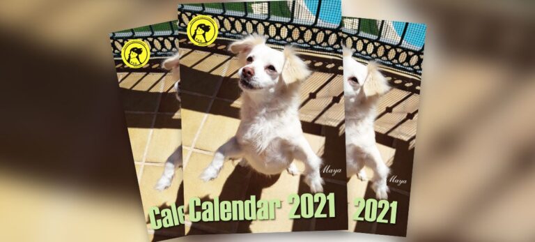 3bddbb36d31a1642202e30d719f7f749