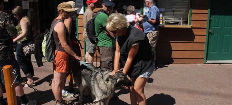 3c6c5c77826573795561460e4199bdeb