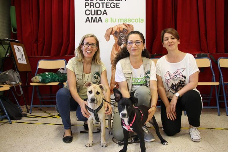 4189706bfd63f560a7a1b835c644f311