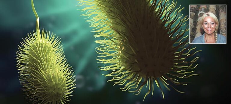 474dab6a005dbddef07ed2848595d1cc