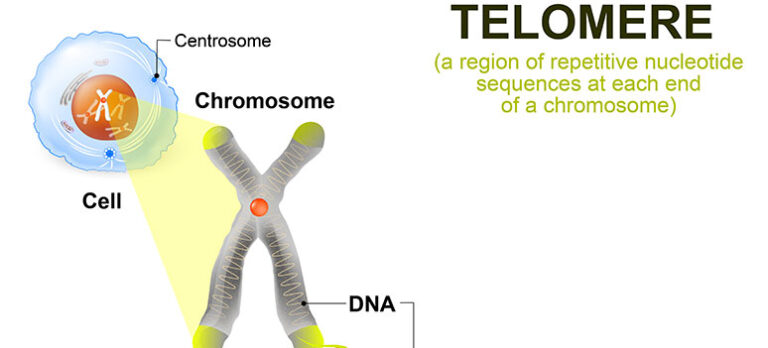4a967c794febc8fac2b4211ff794cef2