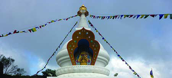 4bb64f2f8fda634399a444c833f9e4f3