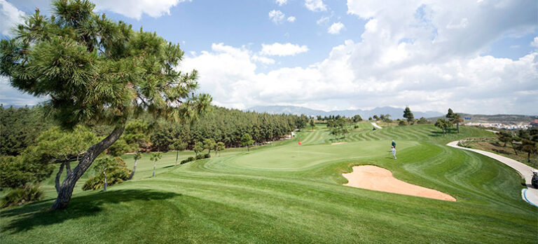 509b0c2791be0cd61f94633fcd743b2b