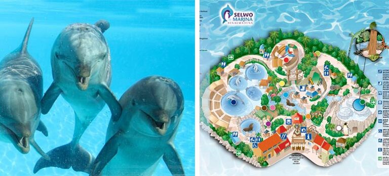 50cf8718456619c0710f7895d48b9b57