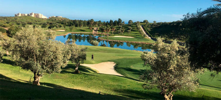 547c2b90dec21eee8918cc924f829860