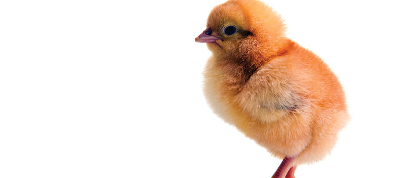 57bd6df03e27806999077121f0467379