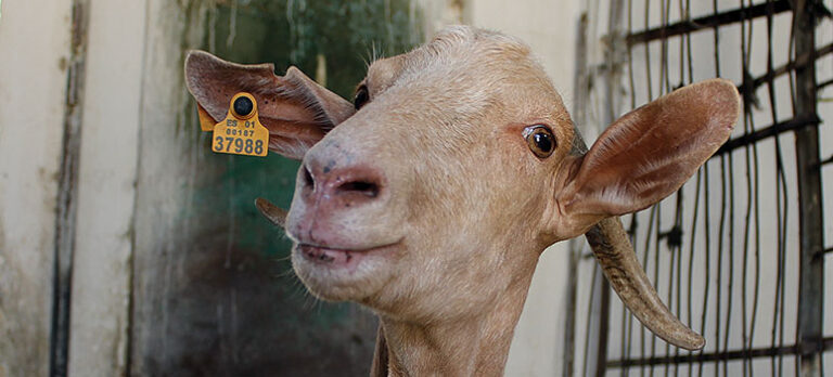 590c34bcb8ff0e90ba0fde52432ee8f1