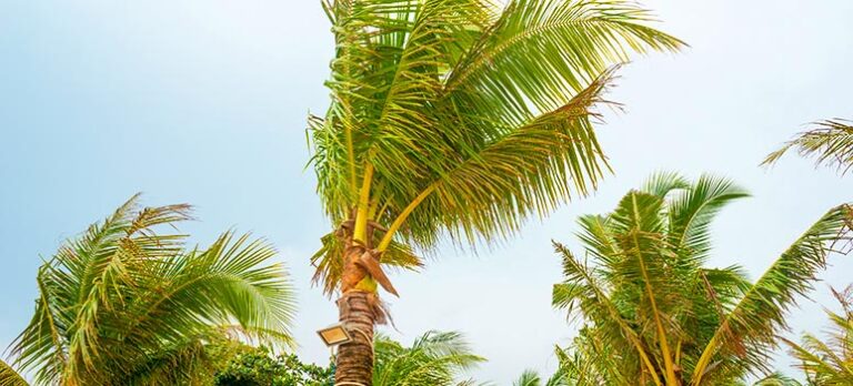 5aca2fb051d811ba06a8956696fefd0e