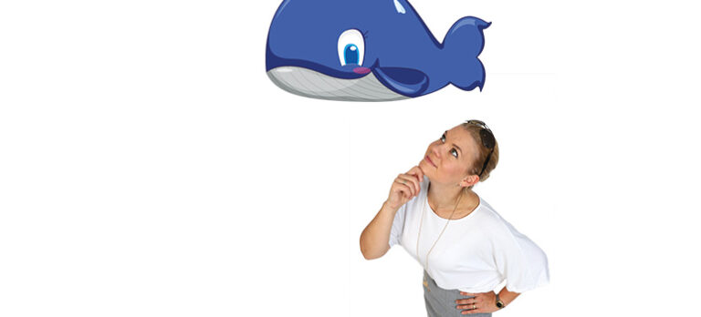 61562782d50d2ad88e8b2c0ade639267