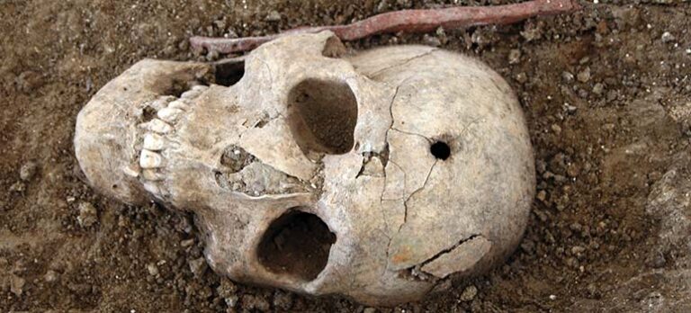 62e46b169264094dc1e9a03921e93ce6