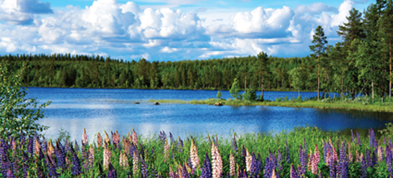 6ee3cf0655d22a8d472d7c13b20693fa