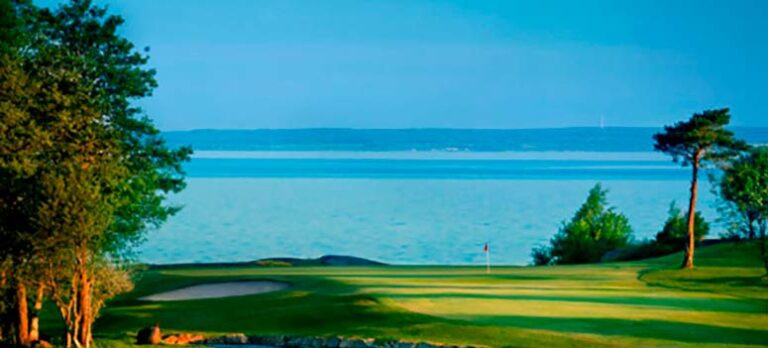 6f576d60e204740423b53275d53b677d