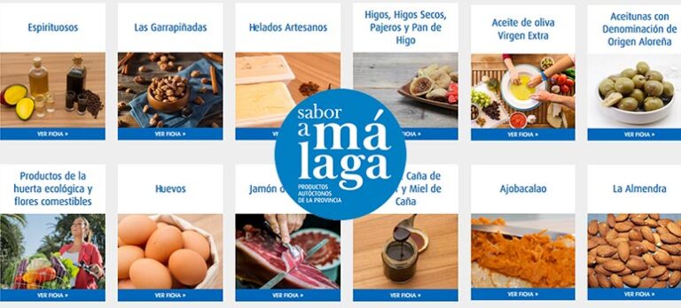 728edbe74dd9e19e6eb6c98d8d4310e7