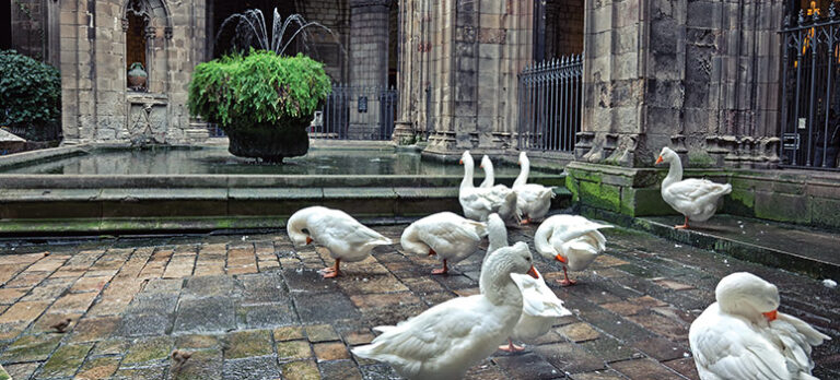 74d8c2cdc97f90a8533ba2bc1b4b8435