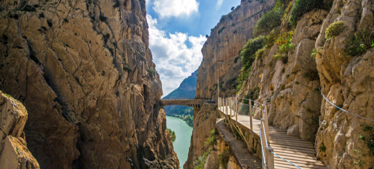 79d7841dd95586c0f7b2102585768901