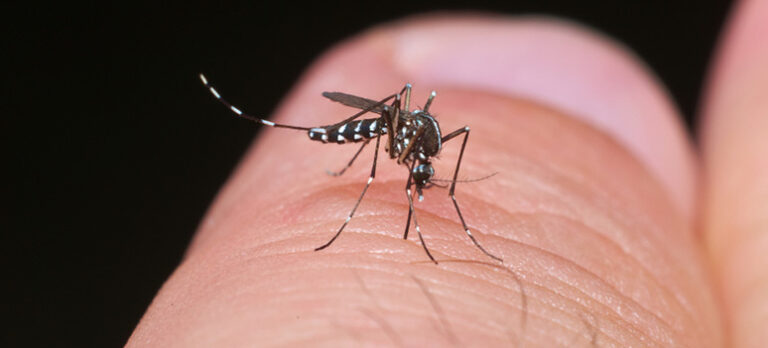 7b5e591941de643d50846f75b0695f12