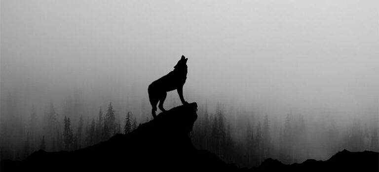 7bd72cdf45e89f7a9bf4f7933003b992