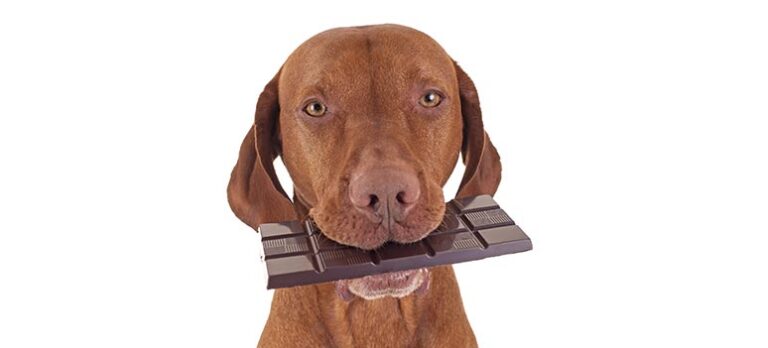 7cc1aca53d2ae422b76c11e7f2e483a5