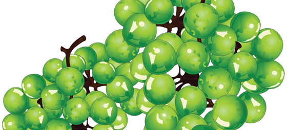 7ce79b52e2775a31d4bbbe1dda40260f