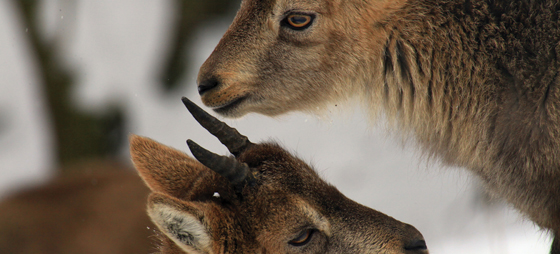 7dd7be39db0b990332bbefe0e2995d2d