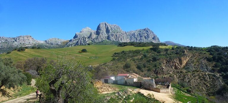 82a84b2bd68f1be6b665f66566a31b8a