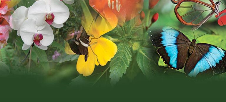 83ce995459a273dfe0da42704c1f3ac6