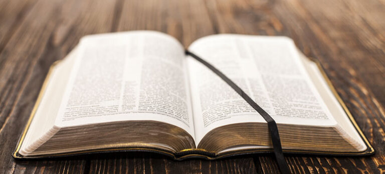 89dcc4992a2d555f96d0da8cbe513af6