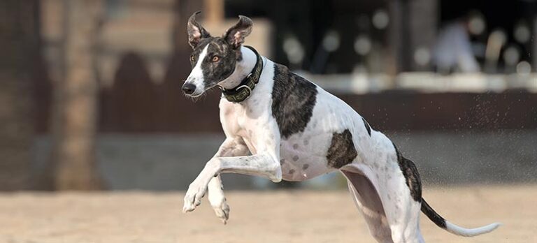 9625d6b4bbd7c2a9747151064455ce1a