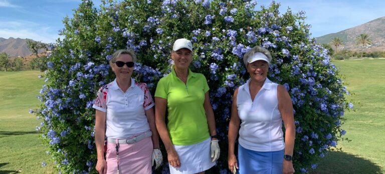 972d52f41c2757cbfb42967493264ad8