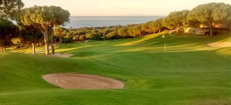 997d5a1388eb25c222540eb91dabc817