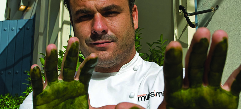 Ángels green fingers