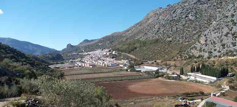 Benaojan