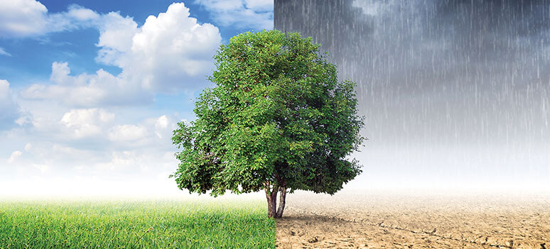 KN klimaforandringer