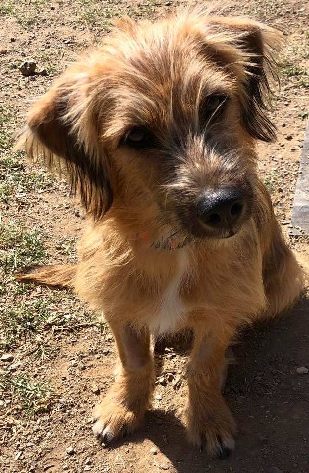 MS RESCUE MALIN