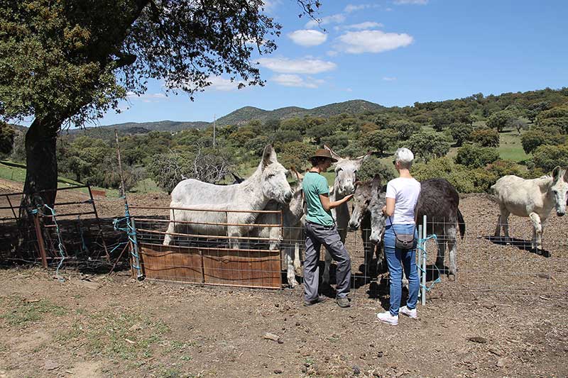 Marias Djurlyckoland Cordoba2