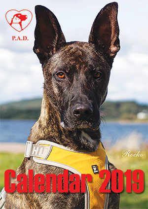 PAD calender 2019