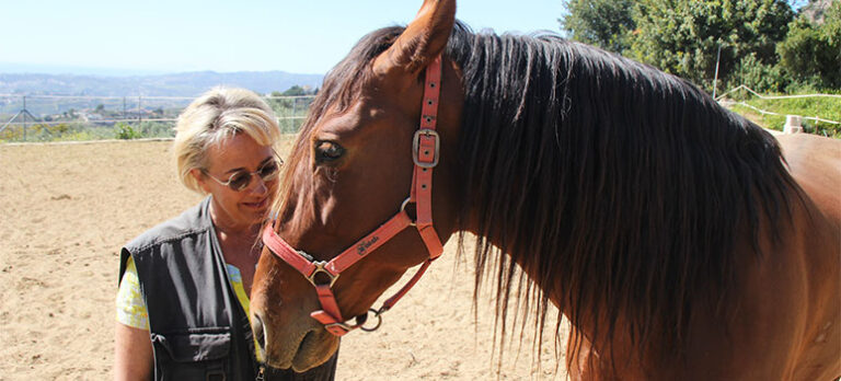 a90d2a86ab261e630df0a378f9f08eaa