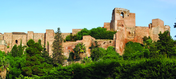 ae0bbe21d363a825e4f593c0299bfeab